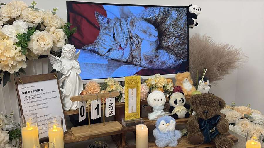 台州宠物告别厅
